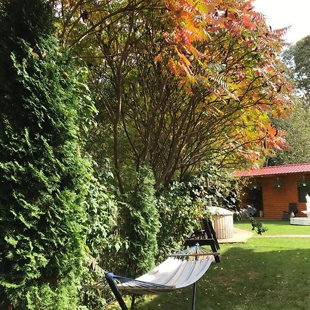 Pensiunea Silva Dobra Sugag Exterior photo