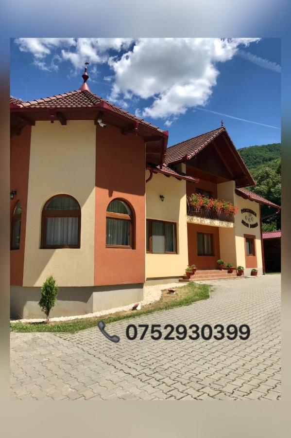 Pensiunea Silva Dobra Sugag Exterior photo
