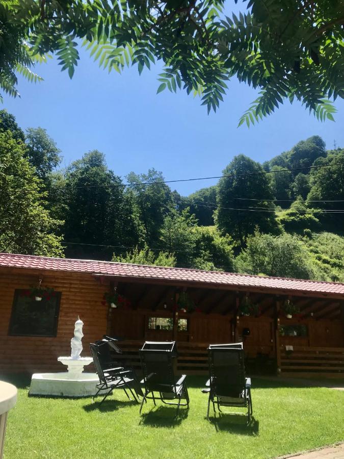 Pensiunea Silva Dobra Sugag Exterior photo