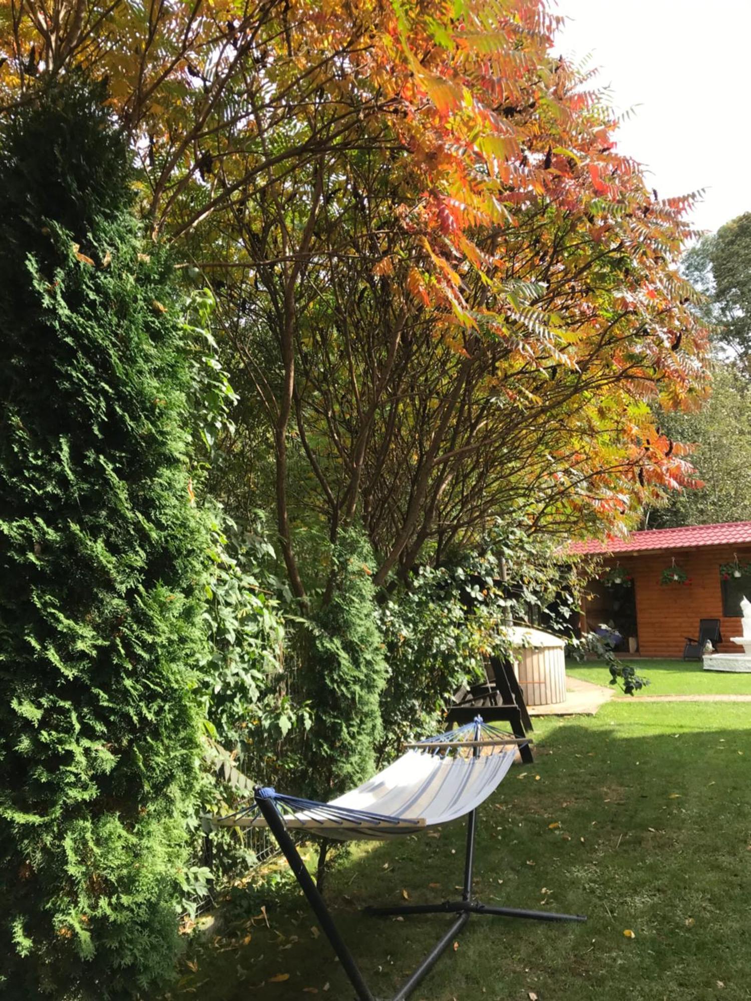 Pensiunea Silva Dobra Sugag Exterior photo