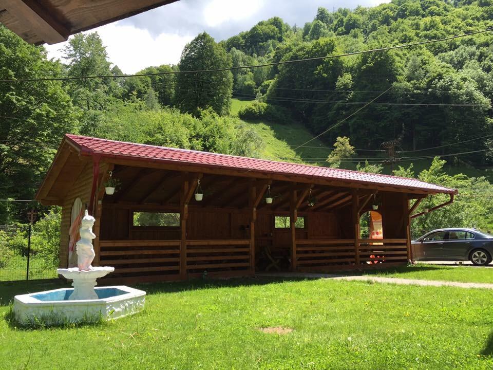 Pensiunea Silva Dobra Sugag Exterior photo