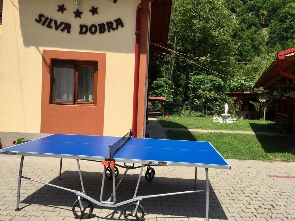 Pensiunea Silva Dobra Sugag Exterior photo