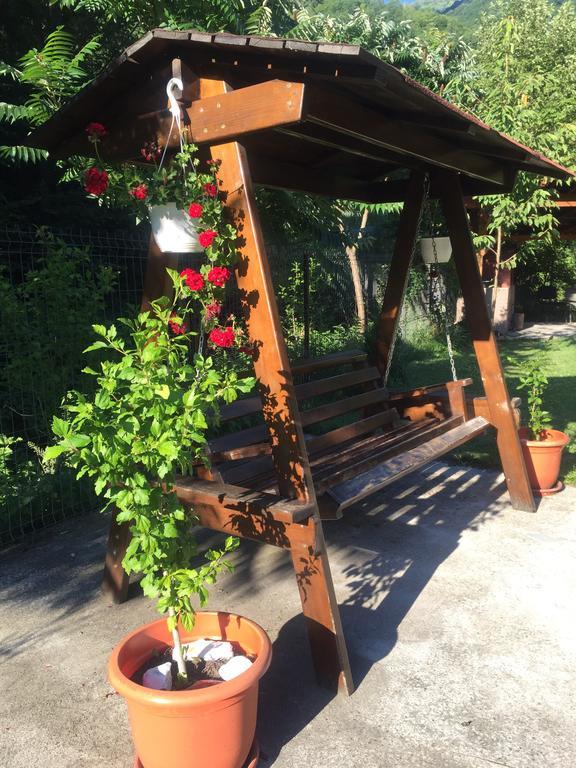 Pensiunea Silva Dobra Sugag Exterior photo