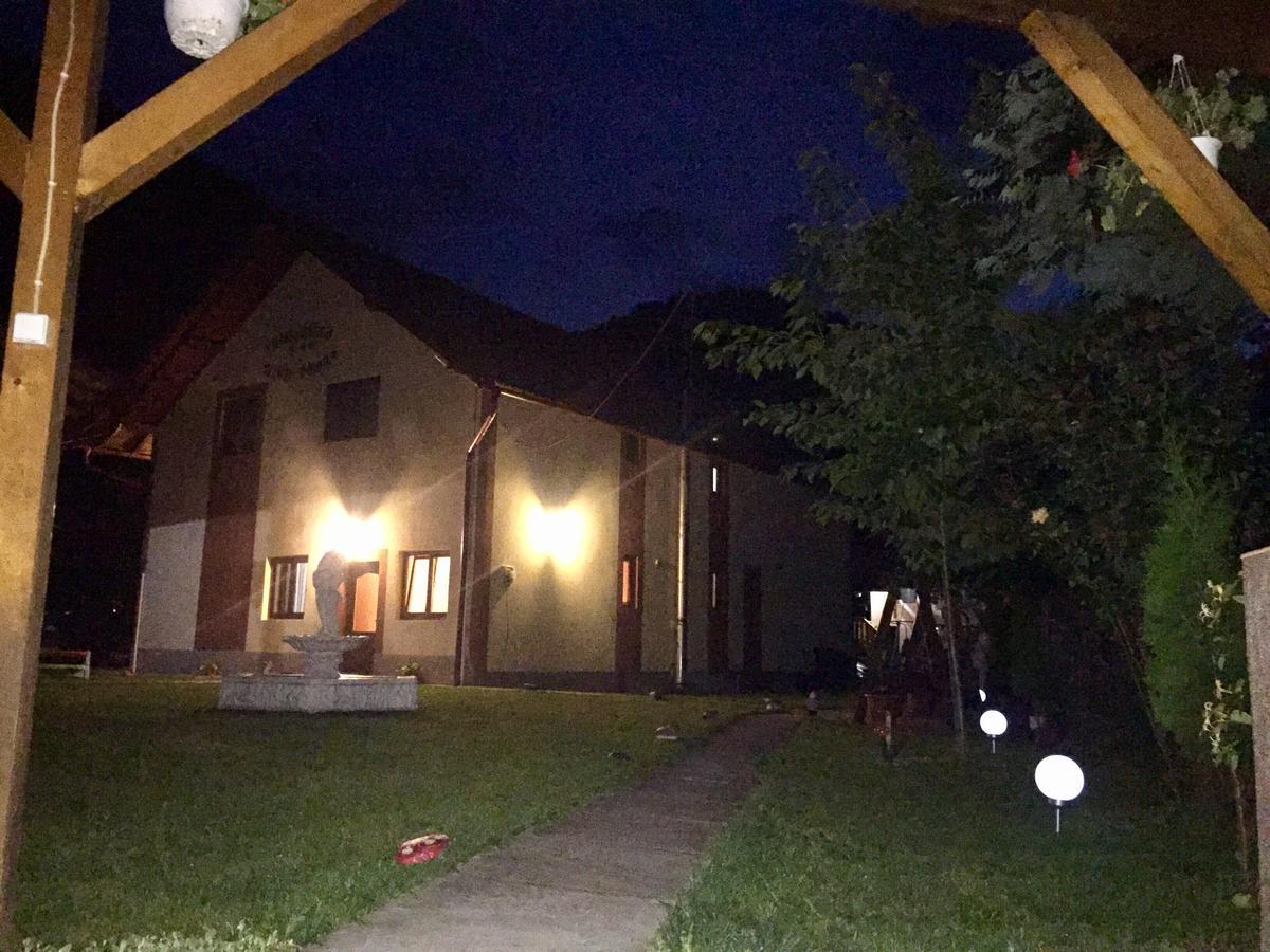 Pensiunea Silva Dobra Sugag Exterior photo