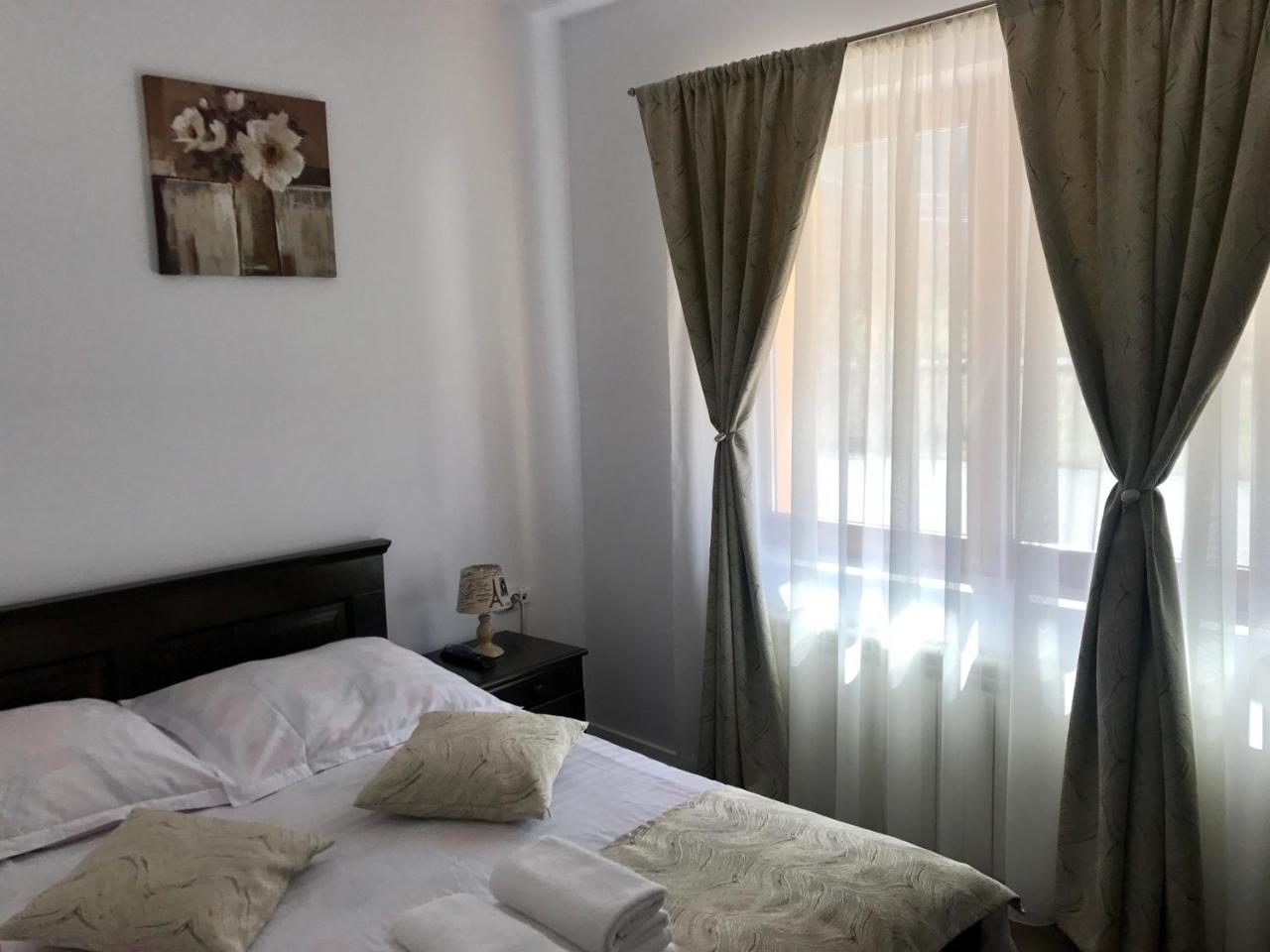 Pensiunea Silva Dobra Sugag Exterior photo